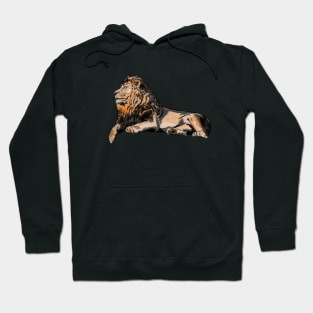 Löwe Hoodie